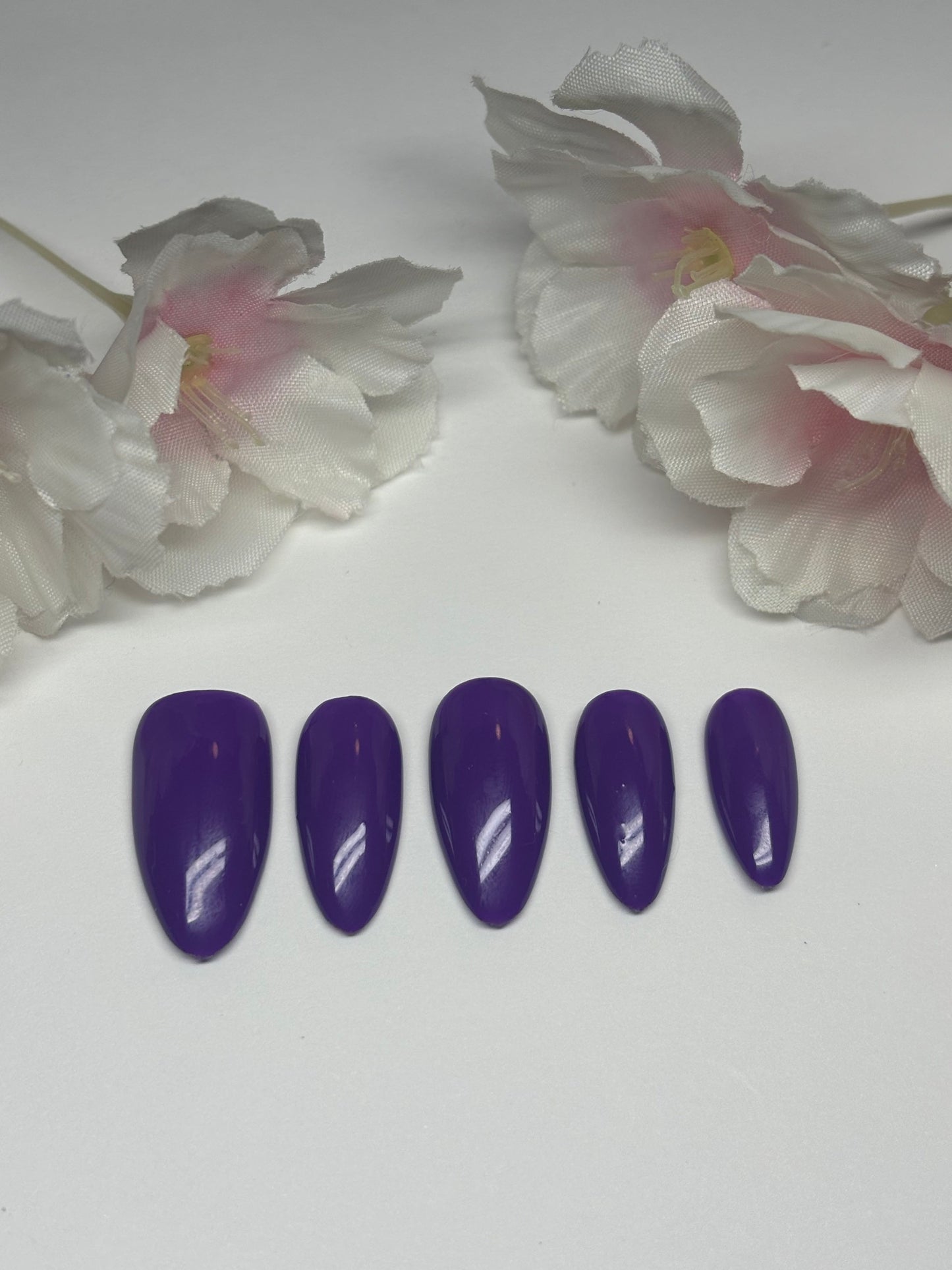 Basic Solid Color