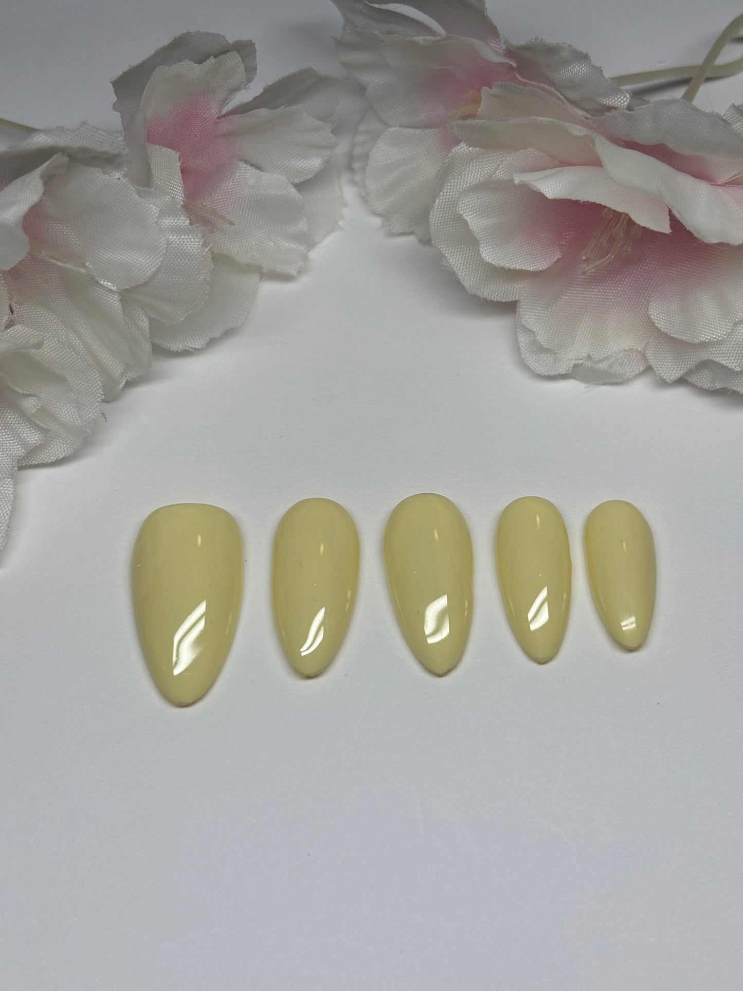 Basic Solid Color