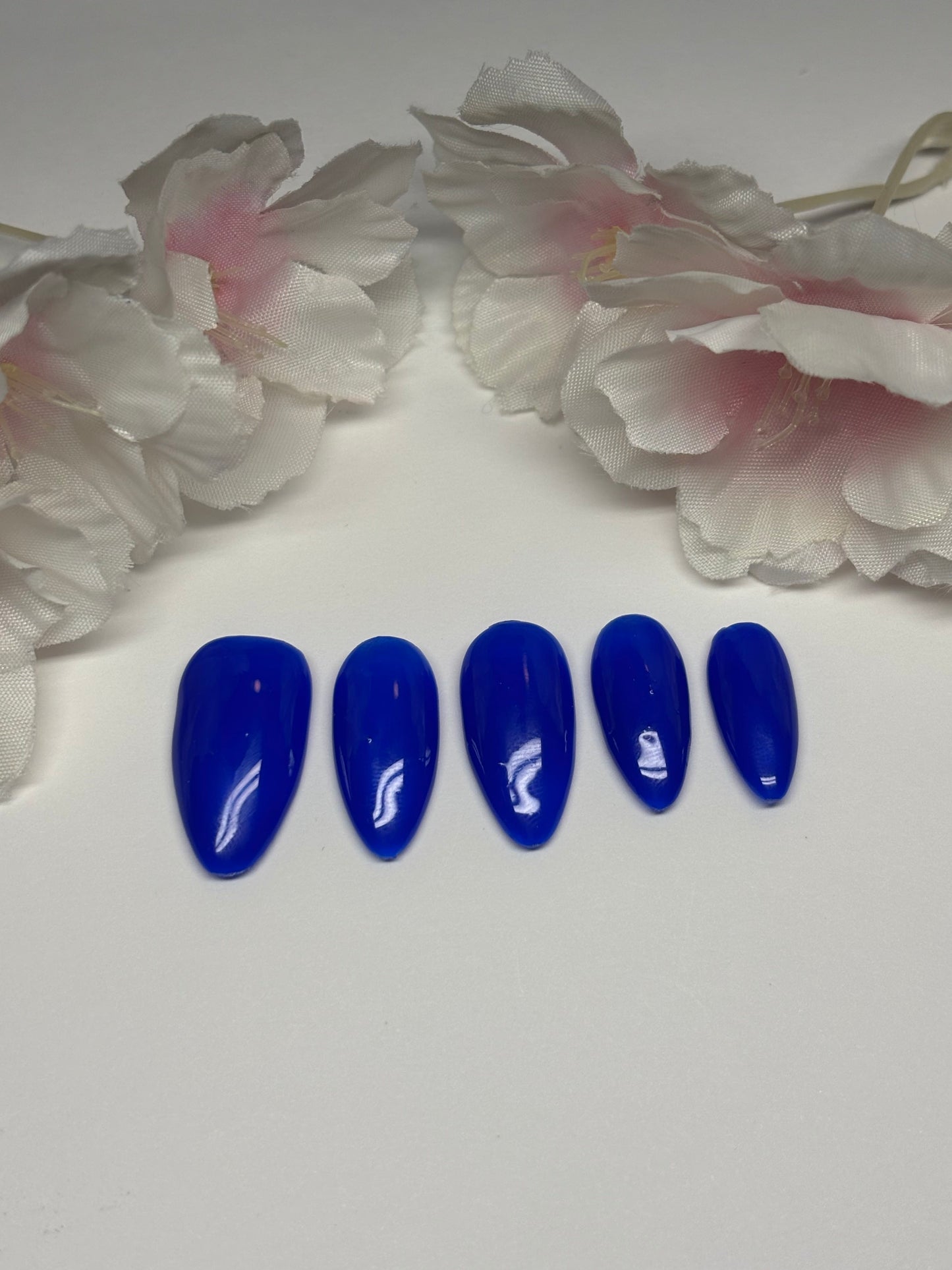 Basic Solid Color