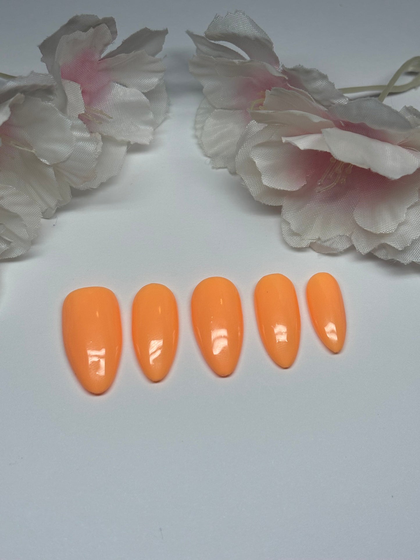 Basic Solid Color