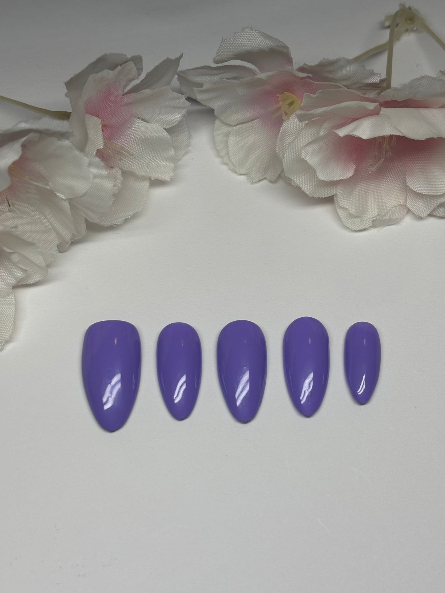 Basic Solid Color