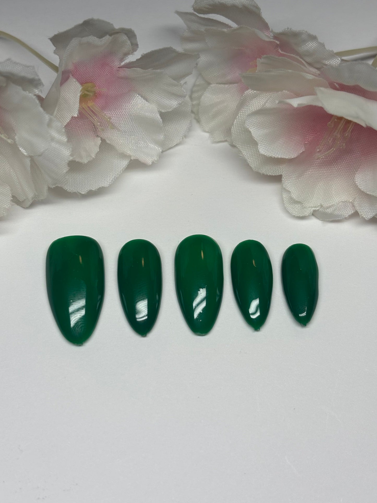 Basic Solid Color