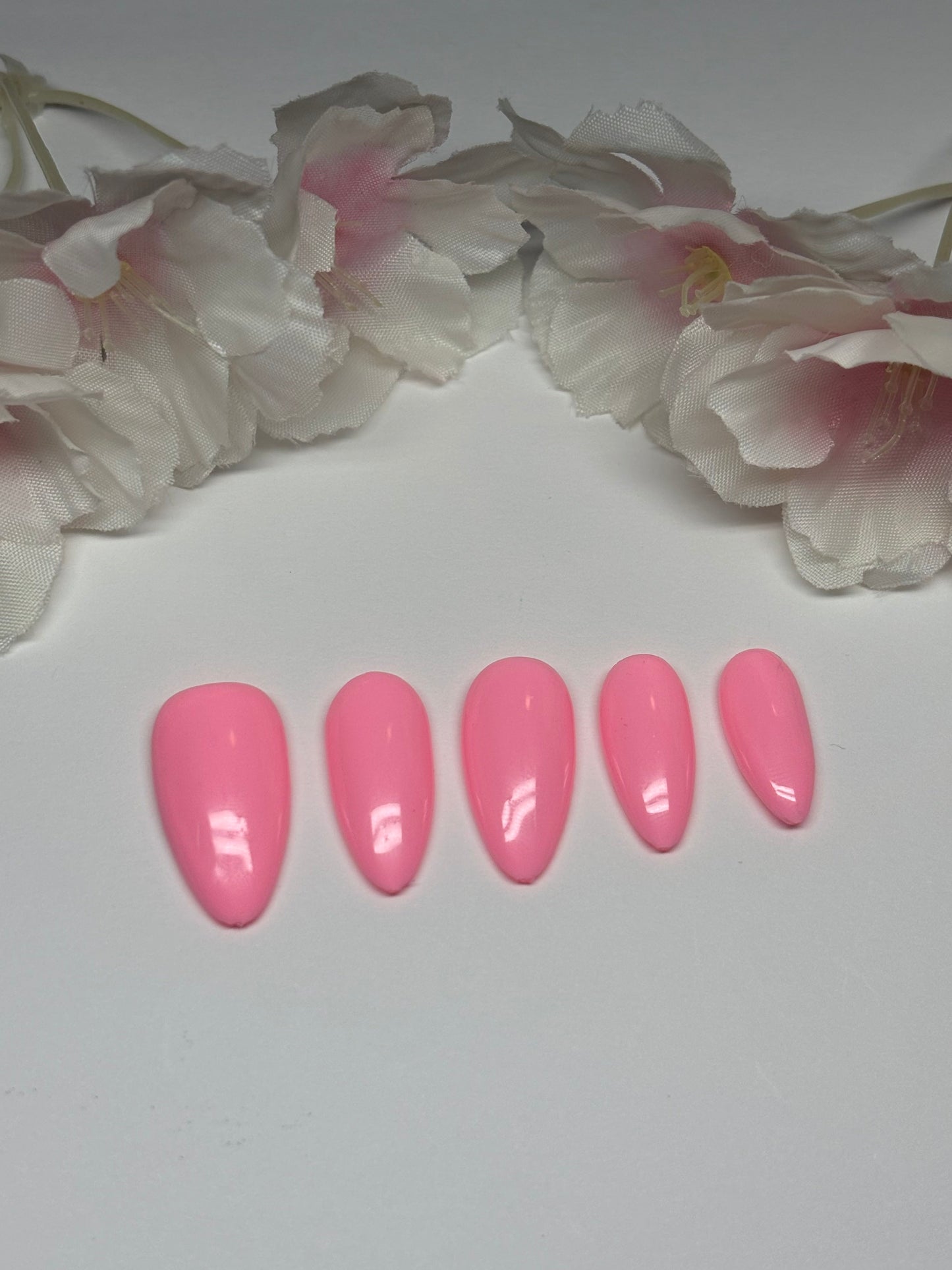 Basic Solid Color